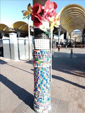 by kiwiaoraki, Views[57]