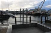 by kiwiaoraki, Views[76]