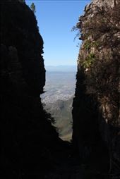 by kiwiaoraki, Views[65]