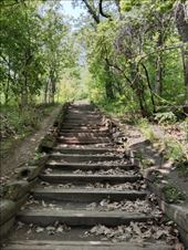 by kiwiaoraki, Views[232]