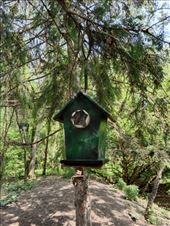 by kiwiaoraki, Views[185]