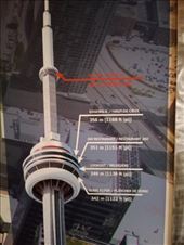 by kiwiaoraki, Views[62]