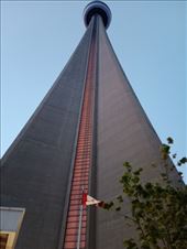 by kiwiaoraki, Views[78]