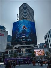 by kiwiaoraki, Views[80]