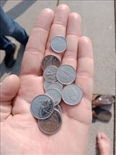 by kiwiaoraki, Views[144]