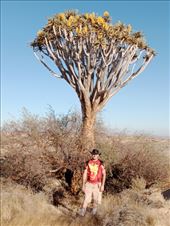 by kiwiaoraki, Views[59]