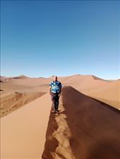 by kiwiaoraki, Views[62]