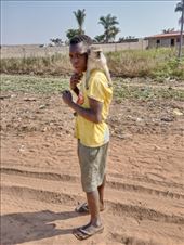 by kiwiaoraki, Views[234]