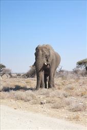 by kiwiaoraki, Views[565]