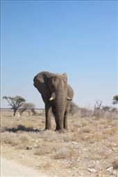 by kiwiaoraki, Views[186]