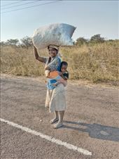 by kiwiaoraki, Views[60]