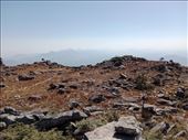 by kiwiaoraki, Views[217]