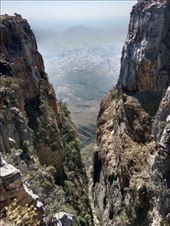 by kiwiaoraki, Views[292]