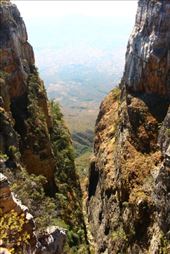 by kiwiaoraki, Views[182]