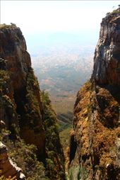 by kiwiaoraki, Views[204]