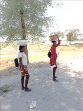 by kiwiaoraki, Views[200]