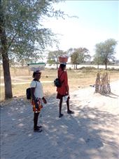 by kiwiaoraki, Views[188]