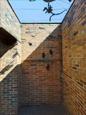 by kiwiaoraki, Views[263]