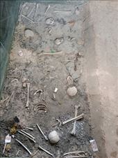 by kiwiaoraki, Views[60]