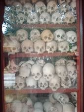 by kiwiaoraki, Views[65]