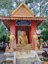 by kiwiaoraki, Views[79]