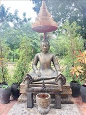 by kiwiaoraki, Views[80]