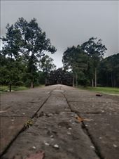 by kiwiaoraki, Views[89]