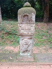 by kiwiaoraki, Views[66]