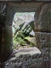 by kiwiaoraki, Views[98]