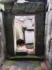 by kiwiaoraki, Views[87]