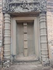 by kiwiaoraki, Views[89]