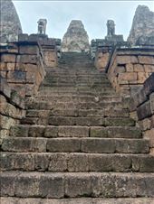 by kiwiaoraki, Views[118]