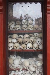 by kiwiaoraki, Views[190]