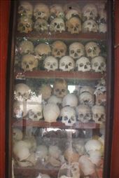 by kiwiaoraki, Views[203]