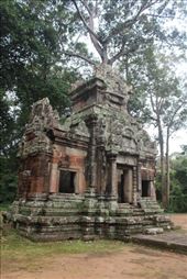 by kiwiaoraki, Views[74]