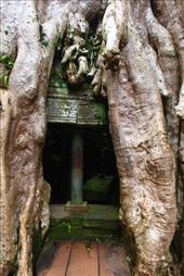 by kiwiaoraki, Views[84]