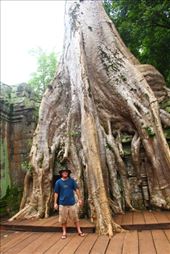 by kiwiaoraki, Views[71]