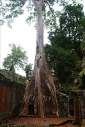 by kiwiaoraki, Views[72]