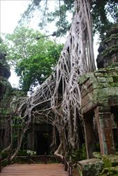 by kiwiaoraki, Views[89]