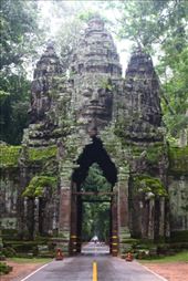 by kiwiaoraki, Views[80]