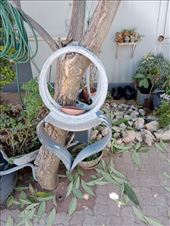 by kiwiaoraki, Views[203]