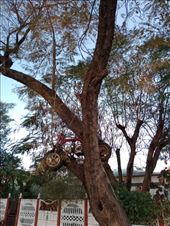 by kiwiaoraki, Views[170]