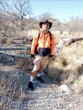 by kiwiaoraki, Views[190]