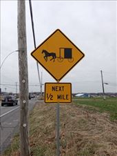 by kiwiaoraki, Views[150]