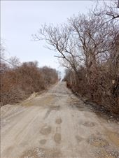 by kiwiaoraki, Views[169]