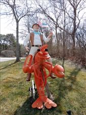 by kiwiaoraki, Views[227]