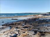 by kiwiaoraki, Views[204]