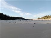 by kiwiaoraki, Views[194]
