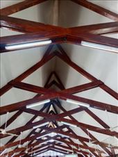 by kiwiaoraki, Views[55]