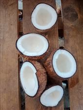 by kiwiaoraki, Views[70]